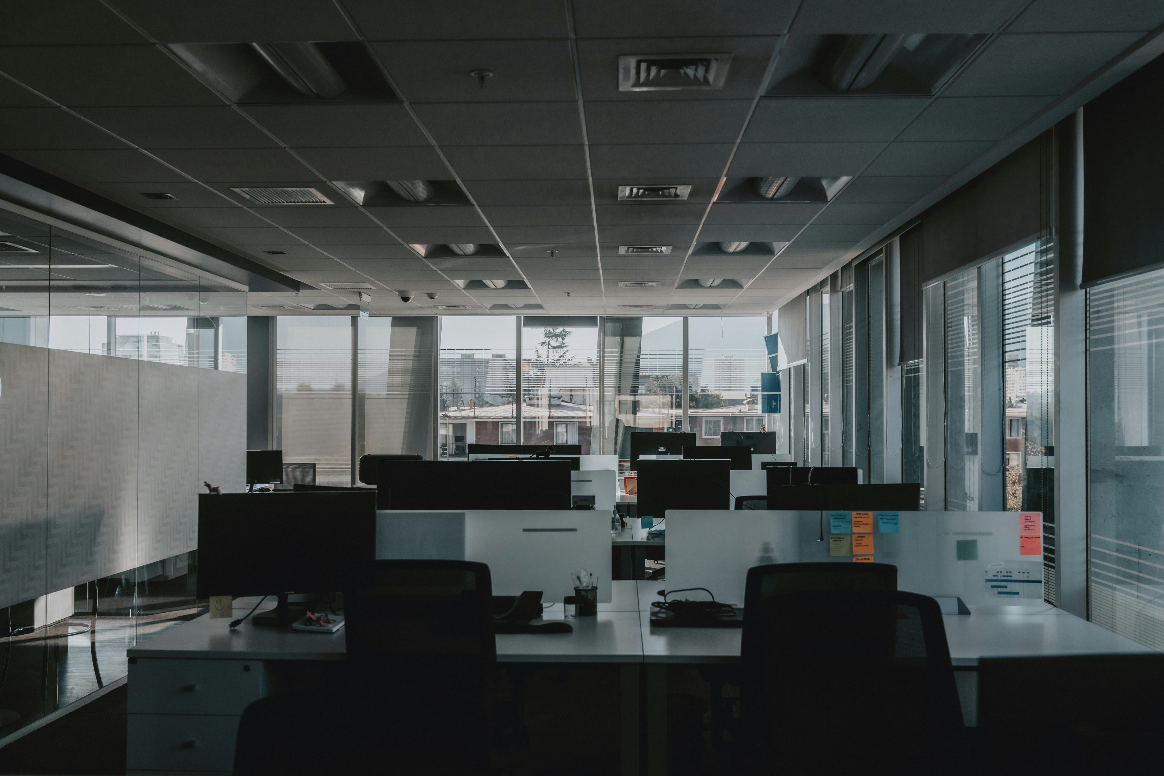 Insights & Perspectives